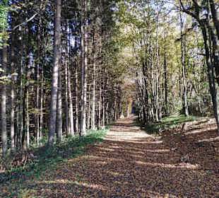 Wanderweg nach Frannach