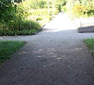 Botanischer Garten München