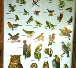 Das Oberbecken Happurger Stausee