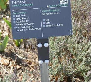 Hinweistafel zum eingepflanzten Kraut