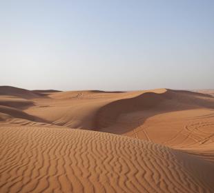 Wüstensafari