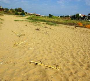 Inspirationen an d.Strandprom.entlang Nov.2010