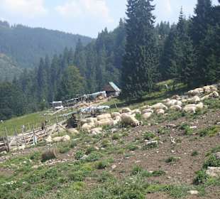 Parcul Natural Apuseni