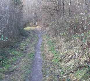 Schönbuch Schaichtal