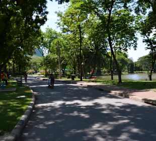 Lumphini Park