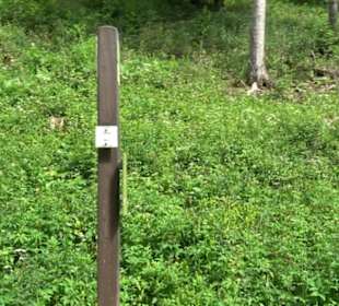 Tiefental Aichstetten