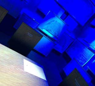 Museum Het Grachtenhuis