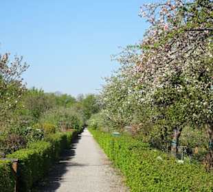 Rundgang durch die Dauerkolonie Annateich