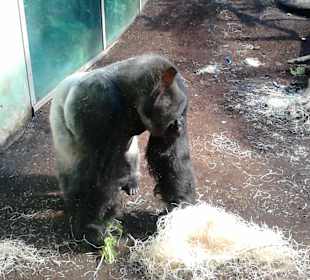 Tierpark Hellabrunn in München
