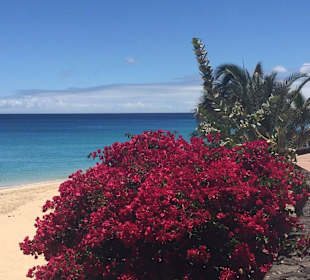 Strand in Morro Jable
