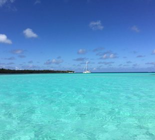 Ausflug Insel Saona