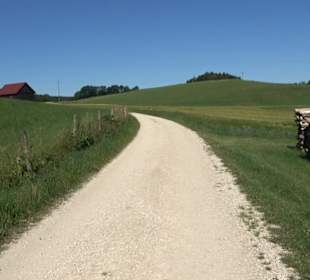 Waldameisen-LehrPfad