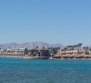 Blue Waves - Sea Trips