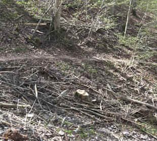 Wanderweg Hochgehkämpft