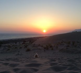 Strand in Nähe des Hotels 