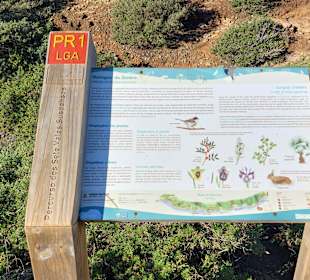 Seven Hanging Valleys Trail 