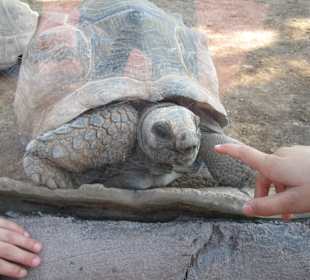 Aquarium / Oceanongrafic