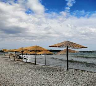 Strand Novigrad