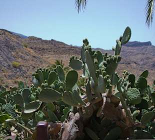 Ausblick von der Terrasse
