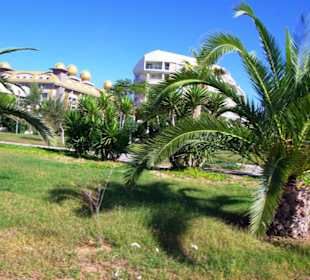 Kumköy-Side-Kumköy 19.10.2012
