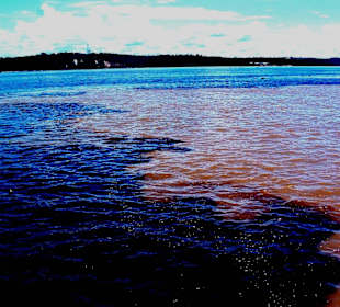 Zusammenlauf Rio Negro - Rio Solimões  -Manaus