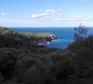 G221 Wanderweg/Ausblick