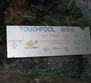 Underwaterworld Singapur