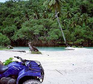 Quadtour am Jungbrunnen