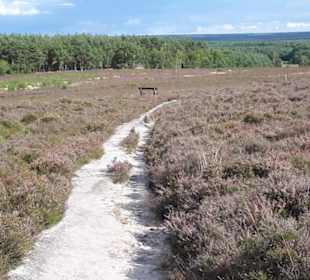 Misselhorner Heide