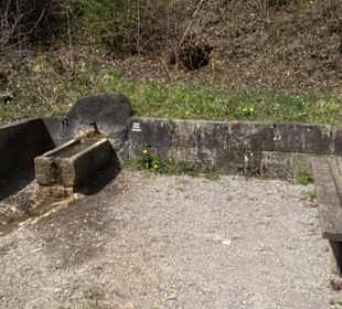 Spazierweg Ritter Museum