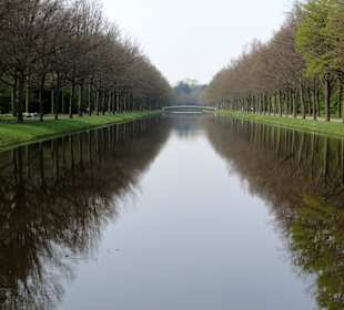 Wasserläufe in der Karlsaue
