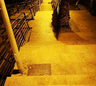 Shopping Center Tropical