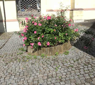 Katholische Pfarrkirche St. Stephanus Eutingen im 