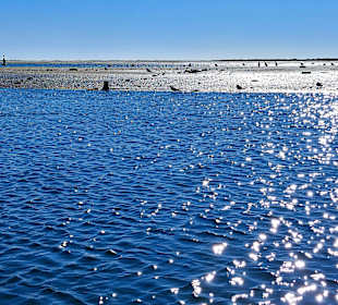 Bootstour Ria Formosa