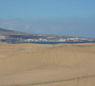 Wydmy, a w tle plaża kurortu