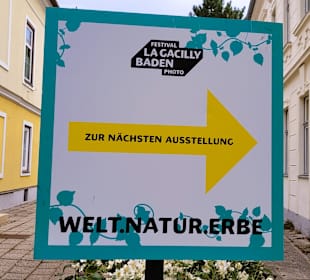 So fand man die Bilder