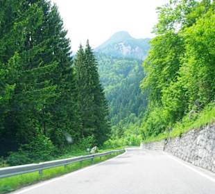 Plöckenpass am Anfang Italy