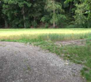 Schutzgebiet Spitzberg, Pfaffenberg