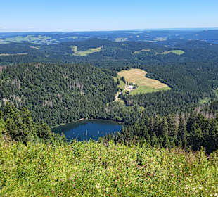 Wandern Feldberg