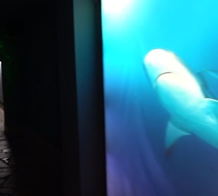 Tierpark Hellabrunn - Fische