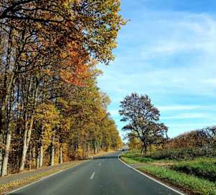Rechts gehts zum Felsenkeller