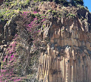 Levada da Serra do Faial
