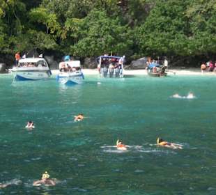 Schnorcheln auf Phi Phi Island