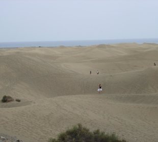 Dünen bis zum Horizont