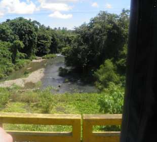 Die Aussicht vom Truck