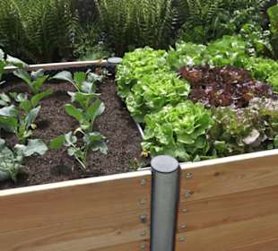 Benediktinerkloster Lorch