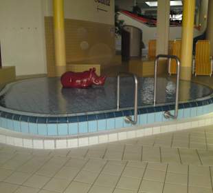 Babybecken mit Nashorn