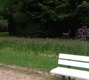 Kurpark Freudenstadt