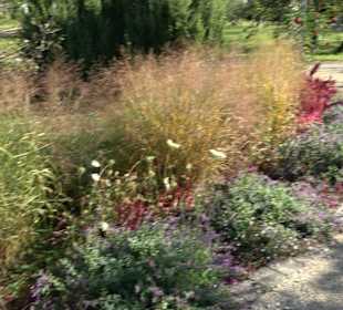 Klostergarten - Garten der Pilger Oberelchingen