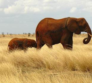 Spaziergang mit Mama